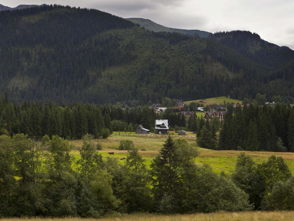 Apartamenty Domino - Kościelisko Esterno foto